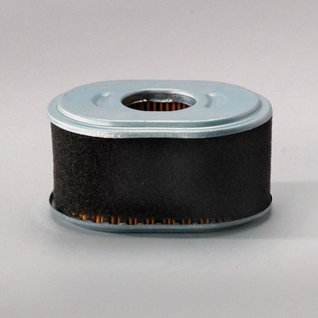 Donaldson Air Filter, P786789 P786789